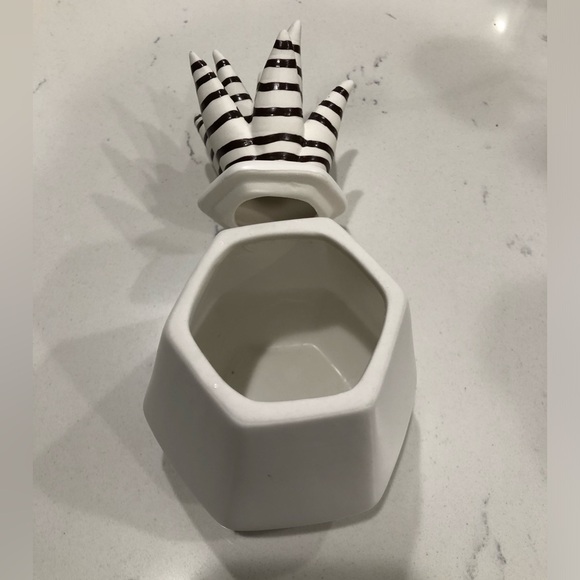 Succulent Ceramic Jar Nate Berkus - Picture 7 of 12